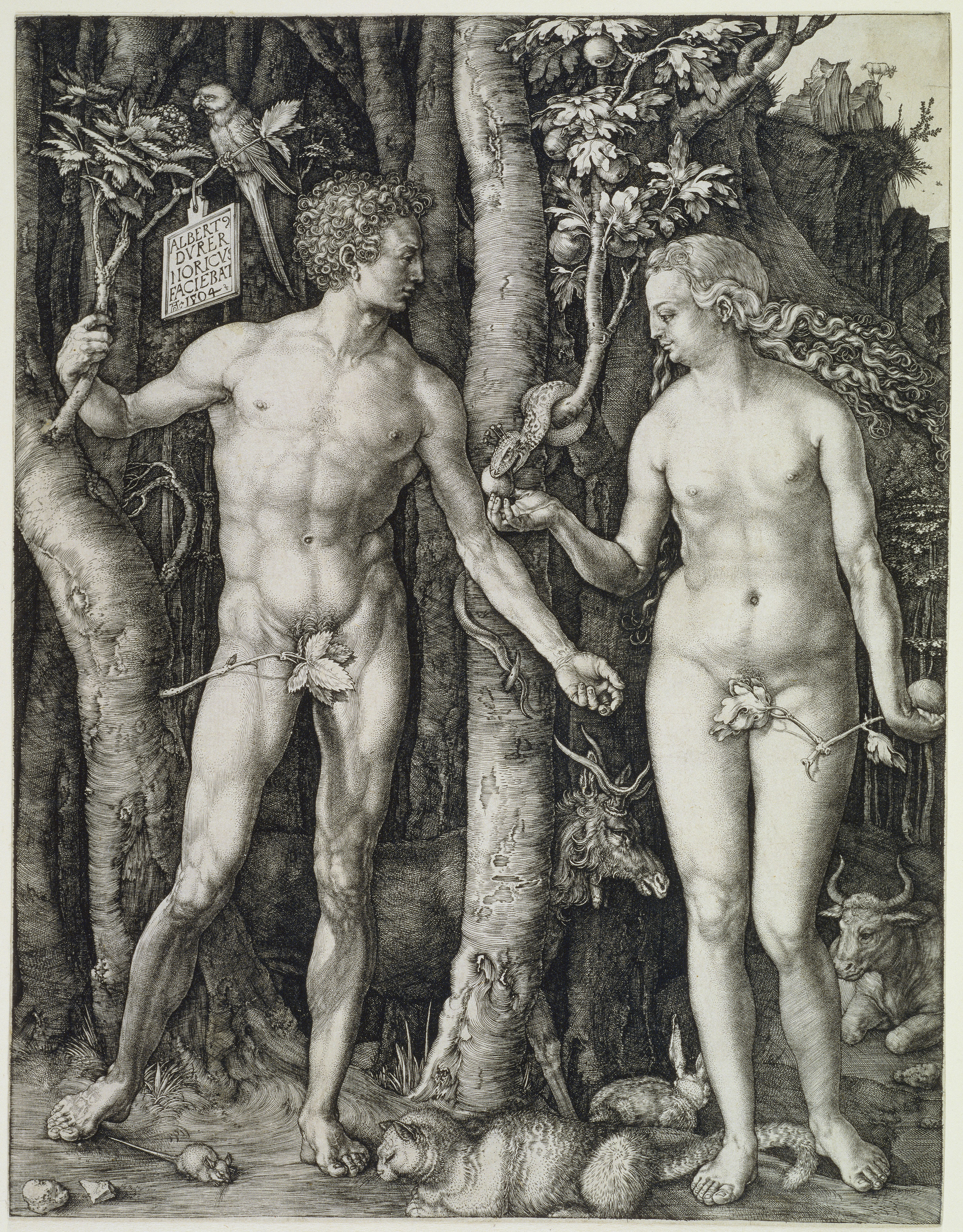 Albrecht Dürer (1471–1528): Adam und Eva, 1504, Kupferstich, 249 × 192 mm, Städel Museum, Frankfurt am Main. Foto: Städel Museum