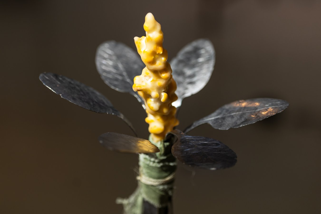 Lucila Pacheco Dehne: Framed Planetary Poetics. Foto: Maarten Nauw. 