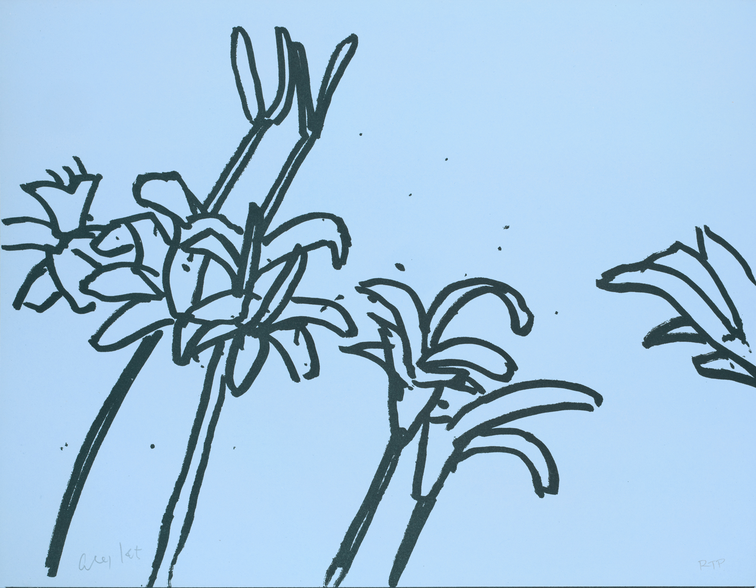 Alex Katz White Lilies Portfolio
