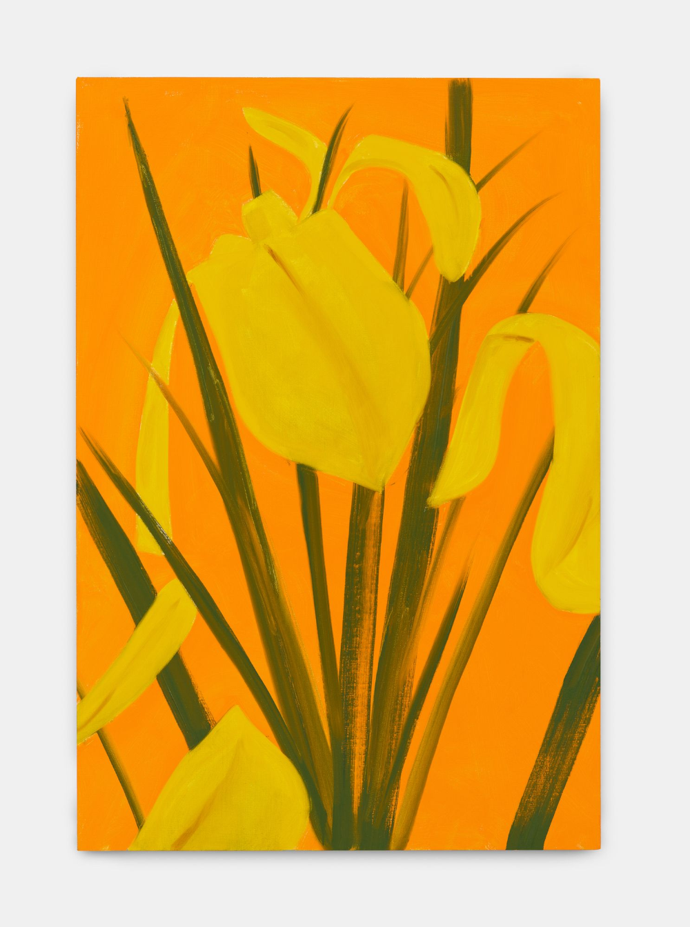 Alex Katz Yellow Flags | FRANK FLUEGEL GALERIE