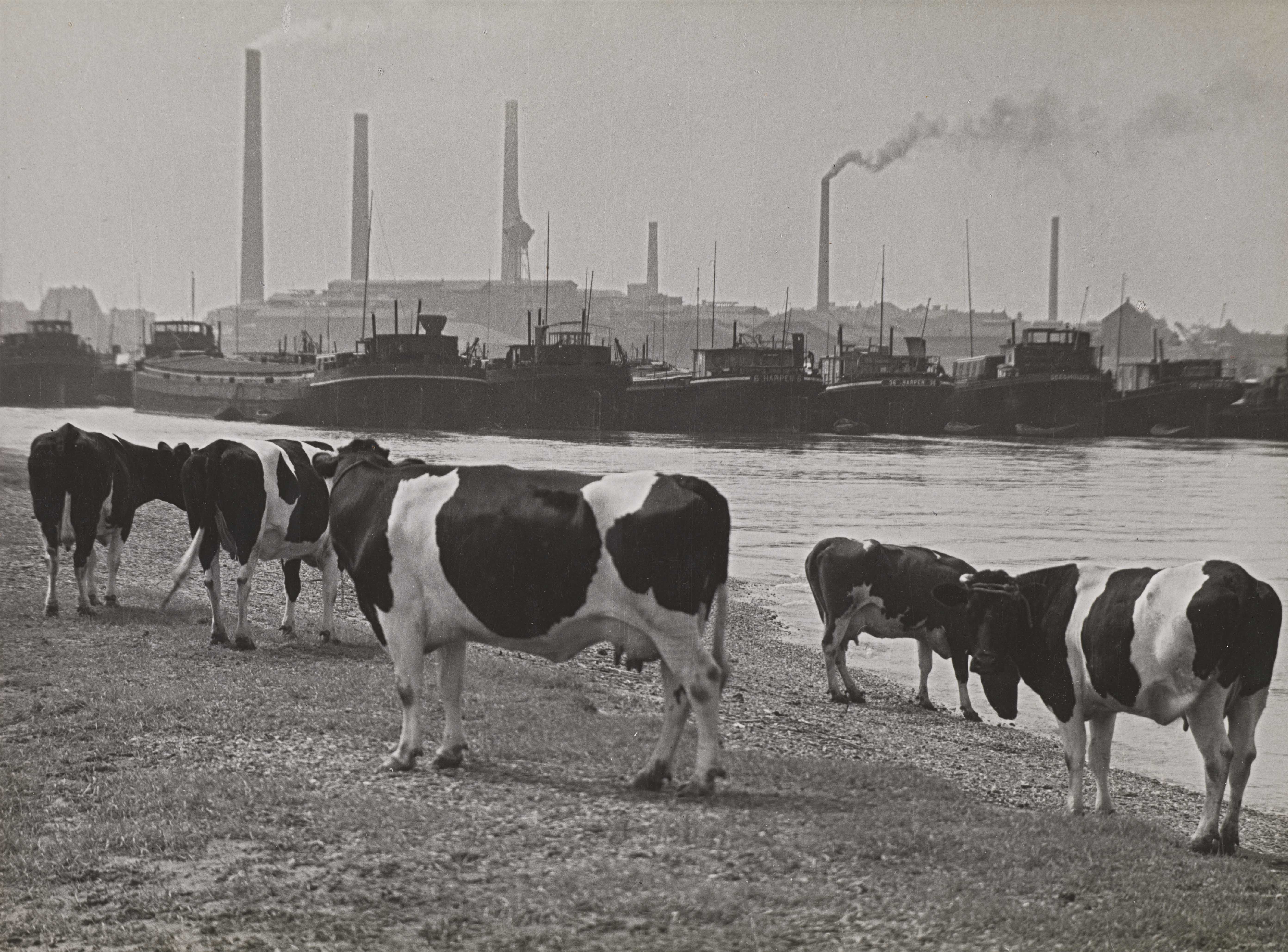 ALBERT RENGER-PATZSCH, AN DER RUHRMÜNDUNG BEI DUISBURG, 1929/30. © Albert Renger-Patzsch / Archiv Ann und Jürgen Wilde / VG Bild-Kunst, Bonn 2016