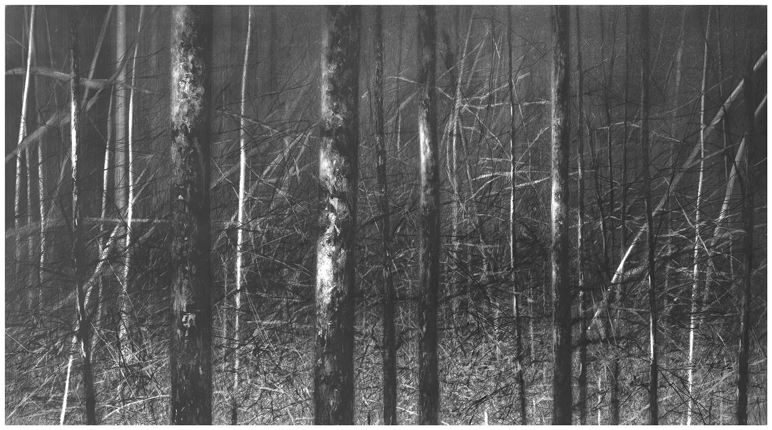 Danja Akulin, o. T., 2022, Bleistift und Graphit auf Papier, aufgezogen auf Leinwand, 110 x 200 cm