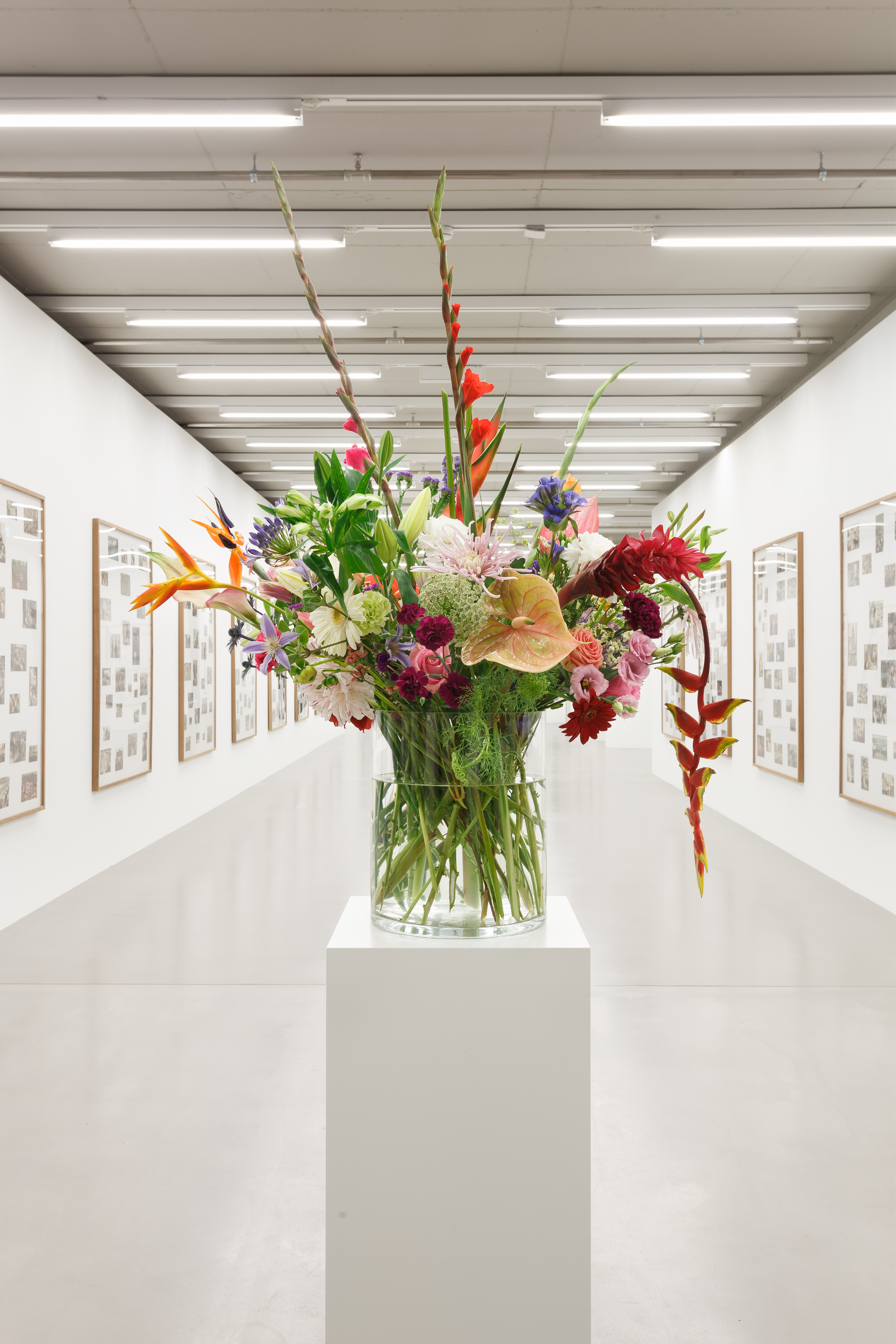 Willem de Rooij, Bouquet V, 2010. Installationsansicht/installation view MMK Museum für Moderne Kunst Frankfurt am Main 2016, Courtesy Sammlung Haubrok, Berlin. Foto/photo: Axel Schneider