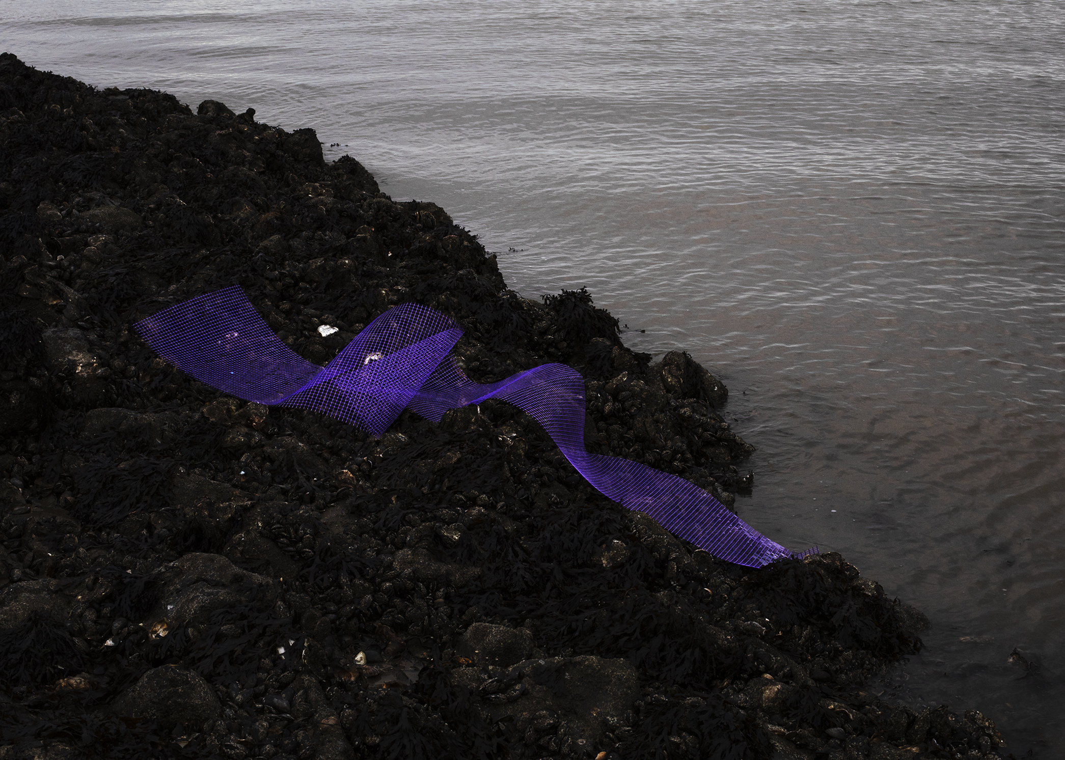 Ulrike Schmitz, Blue Whisper, 2025, (in Arbeit) © Courtesy of the artist