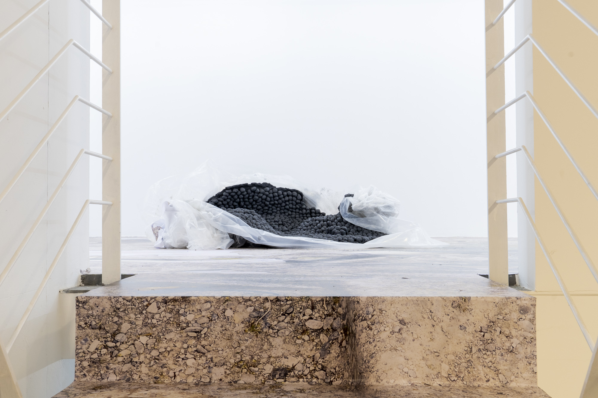 ©: 2025, Fotograf: Dominik DreselPeles Duo: fossil portal I, 2018/2025, Din A3 Farbkopien und mid-process, 2025, Terra Nigra Ton, Plastikfolie / 