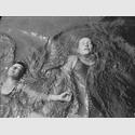 Käte Steinitz: Backstroke, 1930, belichtetes Negativ, 9 x 12 cm, Sprengel Museum Hannover, Schenkung Steinitz Family Art Collection, Foto: Sprengel Museum Hannover (Repro)
