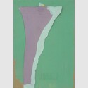 Yto Barrada, Iris Tingitana, 2019, Collage auf Papier, 31,5 x 20,5 cm, Leihgabe der Künstlerin und Sfeir-Semler Gallery Beirut / Hamburg